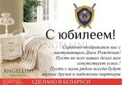 велсофт ск1